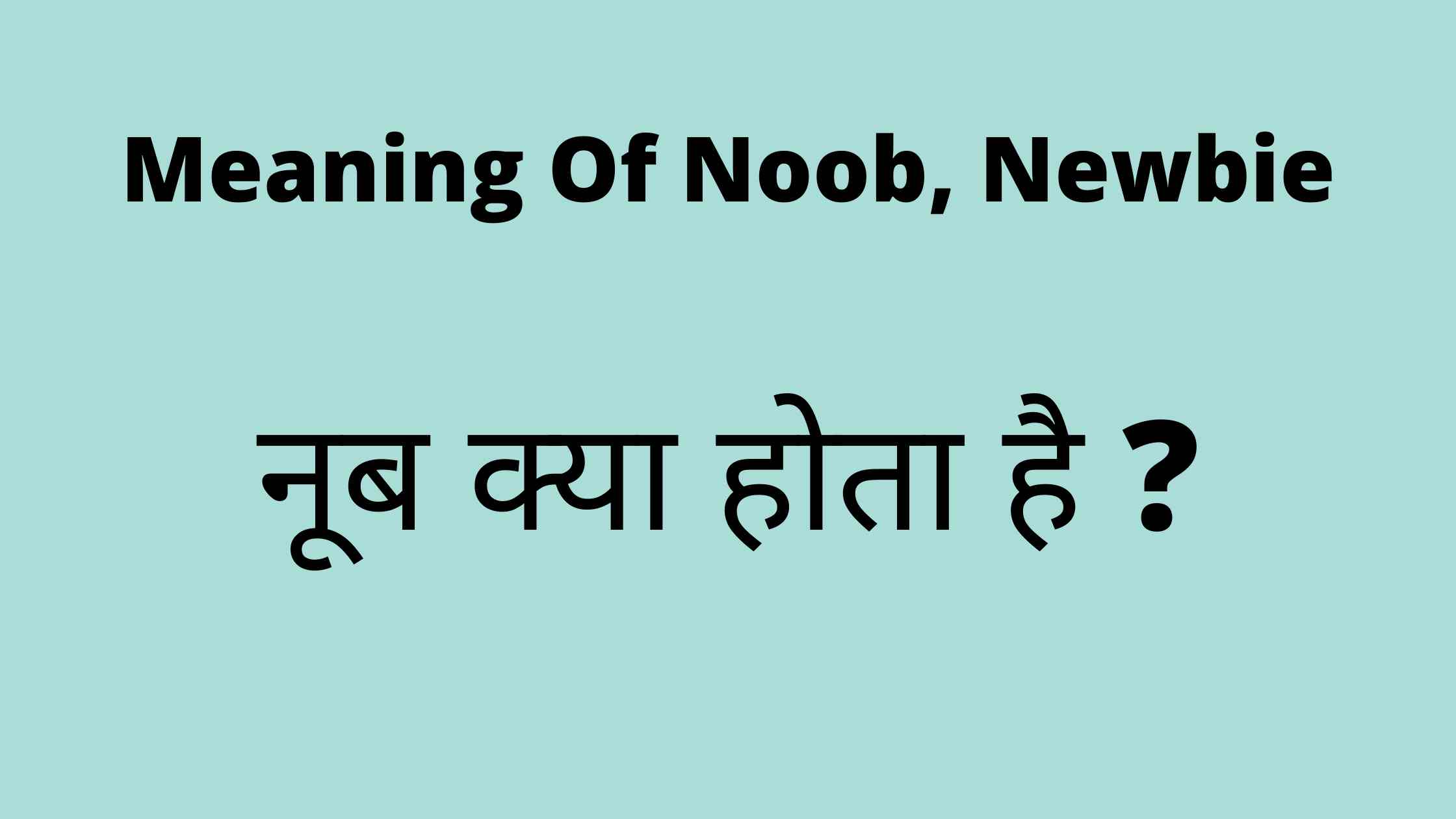 Newbie, newb, noob, nub meaning in hindi, full form